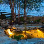 Top 7 Reasons Your Pond Plants Are Dying