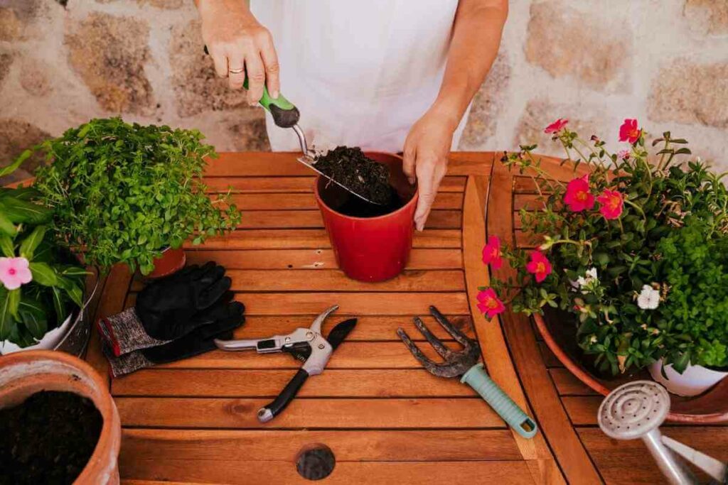How to Tell If Potting Soil is Bad