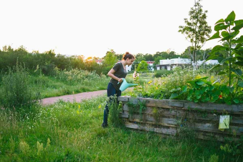 Raised garden bed watering tips and bottom holes