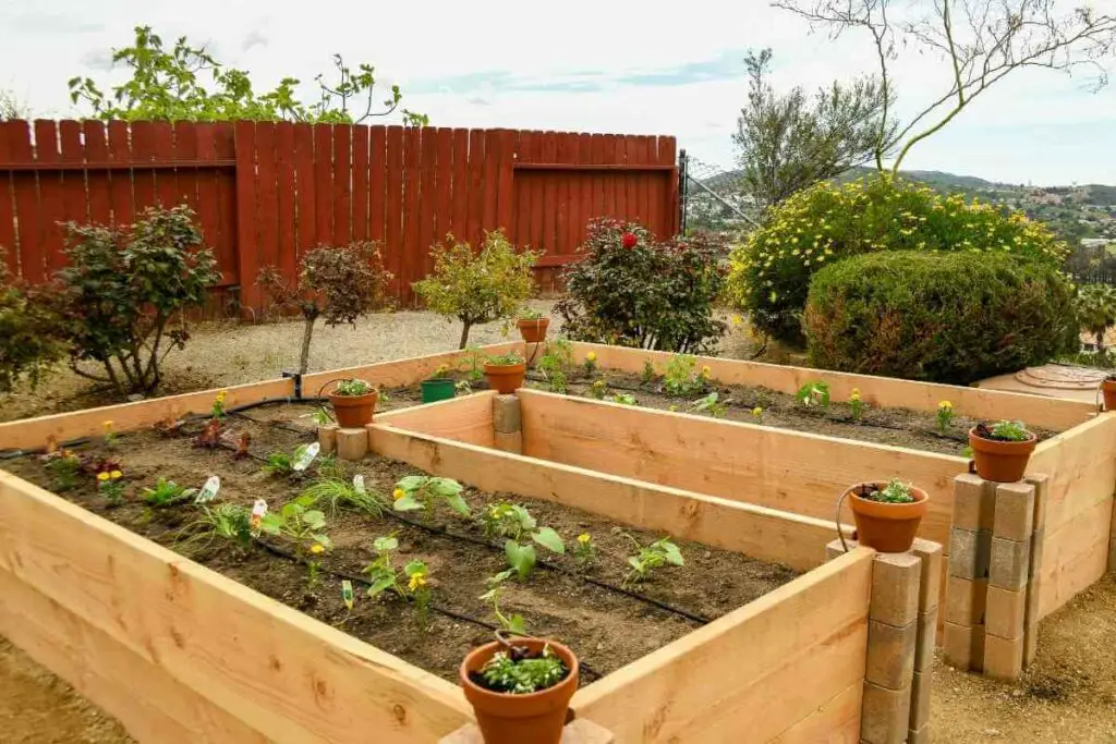 Benefits of Lining Raised Garden Beds