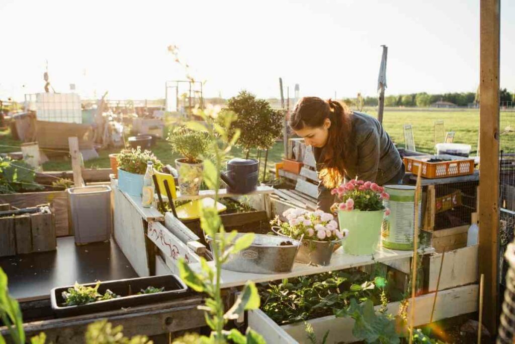 Raised garden bed prevents pests reasons