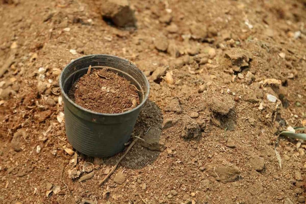 Best Way To Recycle Plastic Garden Plant Pots