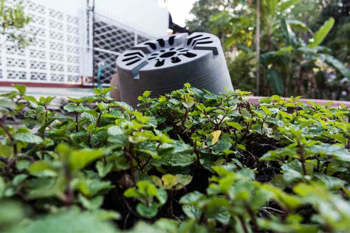 What Is The Best Way To Recycle Plastic Garden Plant Pots? Gardenia