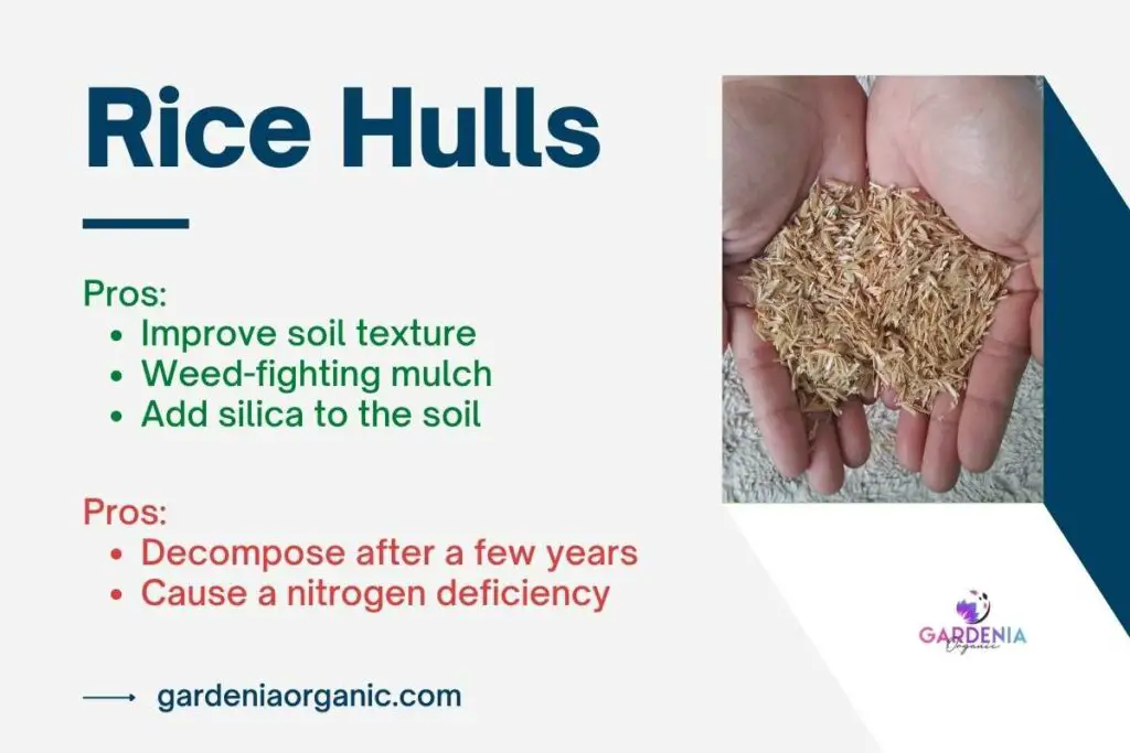Rice hulls for plants pros and cons