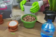 Rice Hulls Vs Perlite: Which One Is Better?