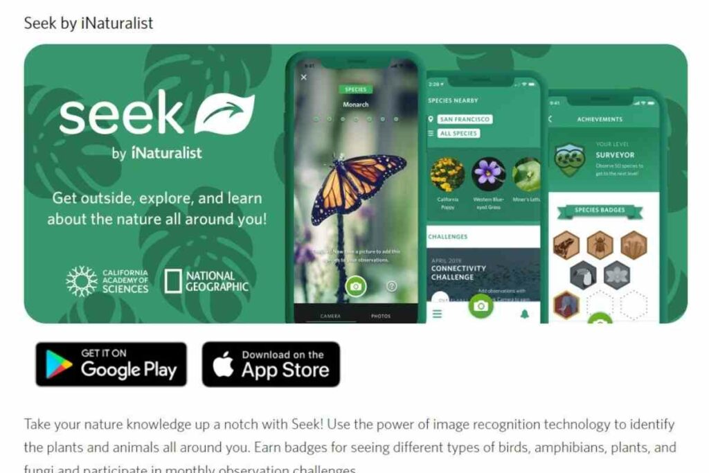 Seek iNaturalist mobile app for gardeners