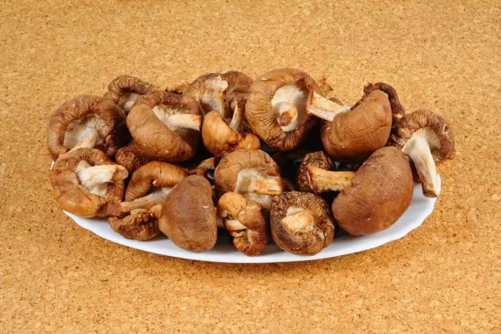 Shiitake mushrooms in plate