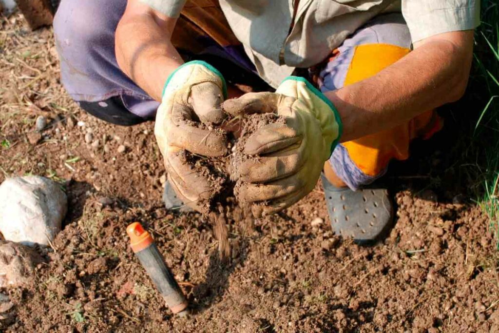 Stones in the soil solution and tips