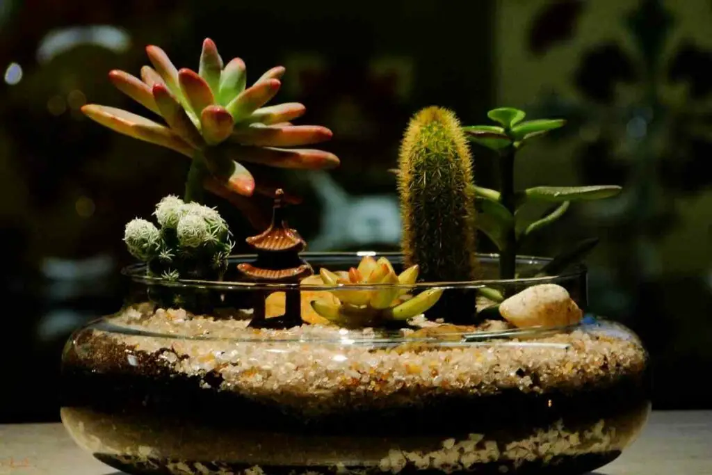 Small well-designed terrarium