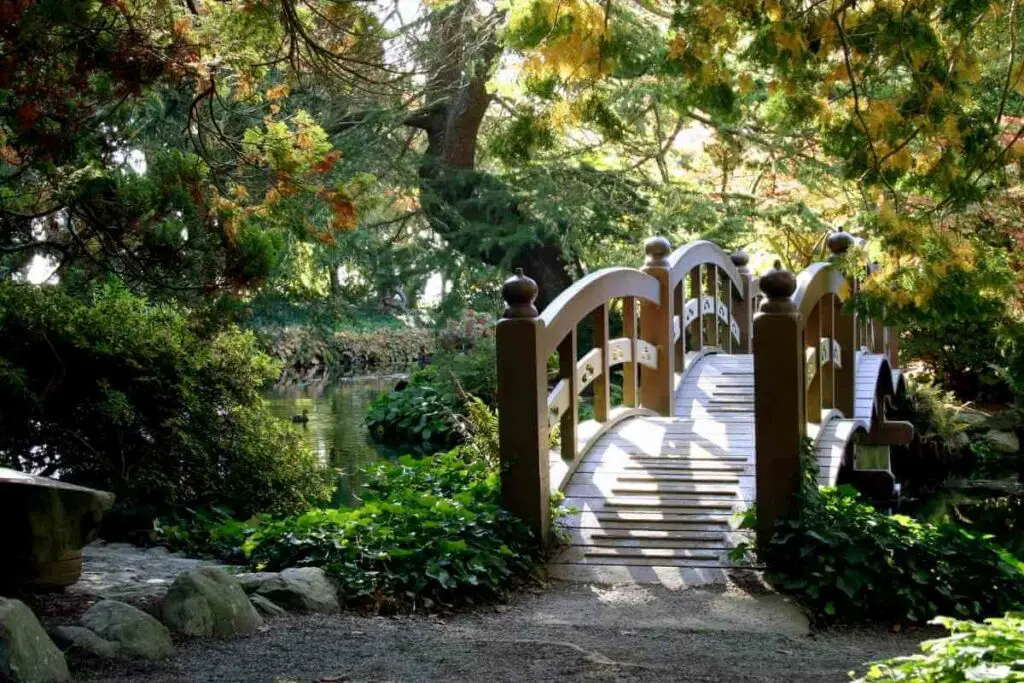 Magnificent Wooden bridge in Japanese garden