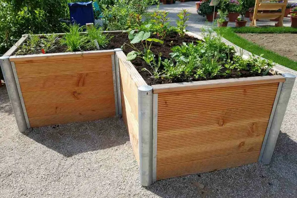 wood and steel raised beds