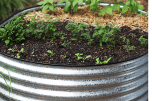 Corrugated Metal Garden Planters