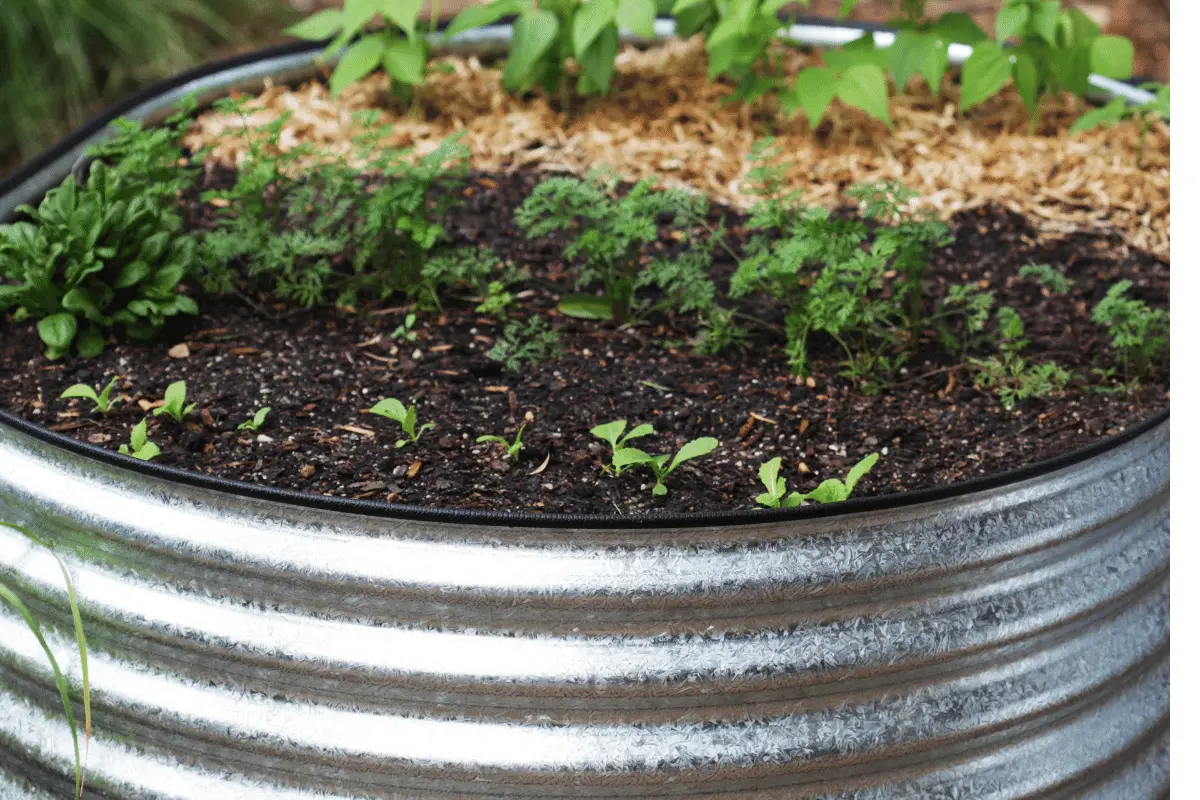 Round Corrugated Metal Planters (everything You Need to Know)