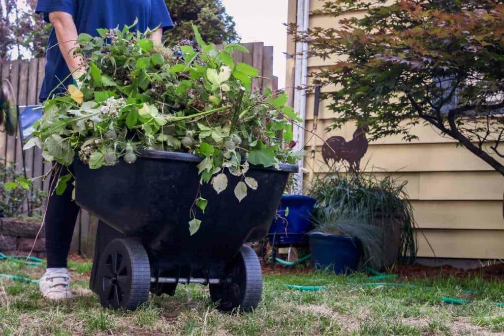 garden cart