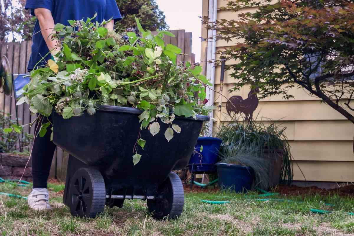 7 Best Garden Utility Carts Gardenia Organic