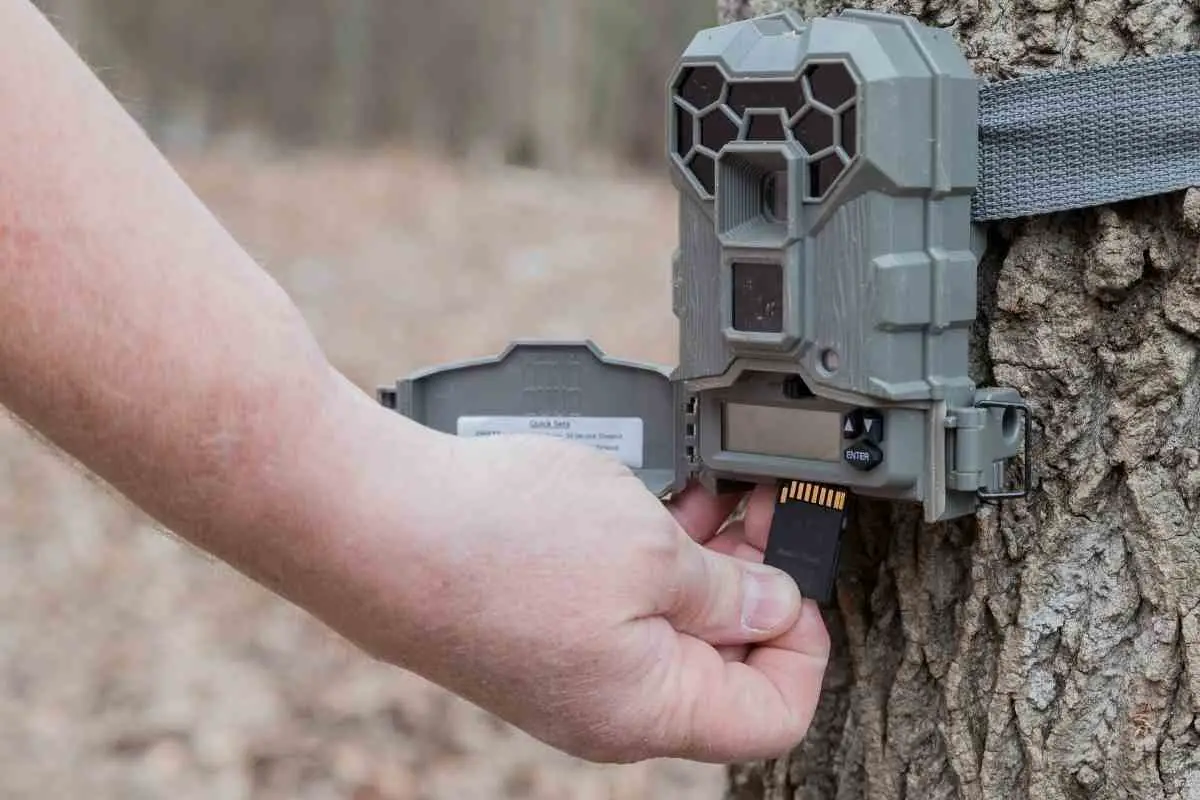 Wildlife Cameras for Backyard: Best Outdoor Trail Cams