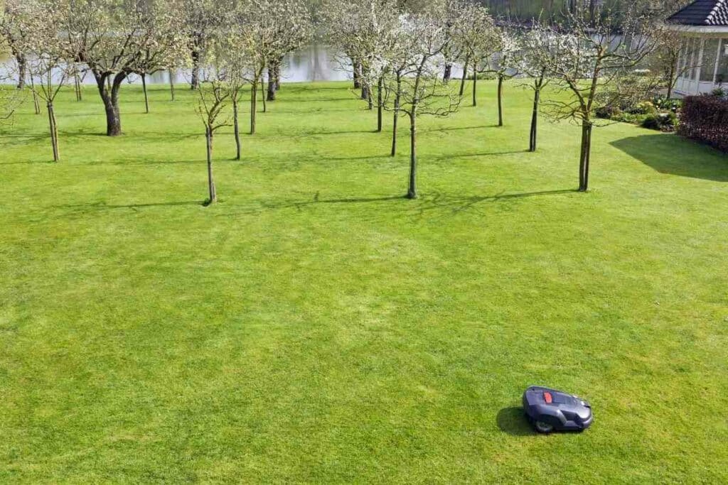 Backyard robot mower UK