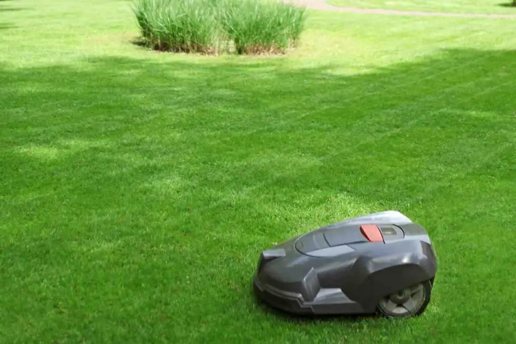 Best robot mowers in United States