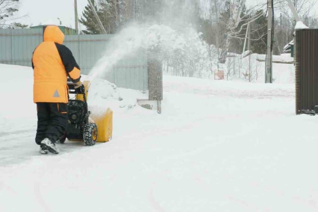 Best snow throwers backyard