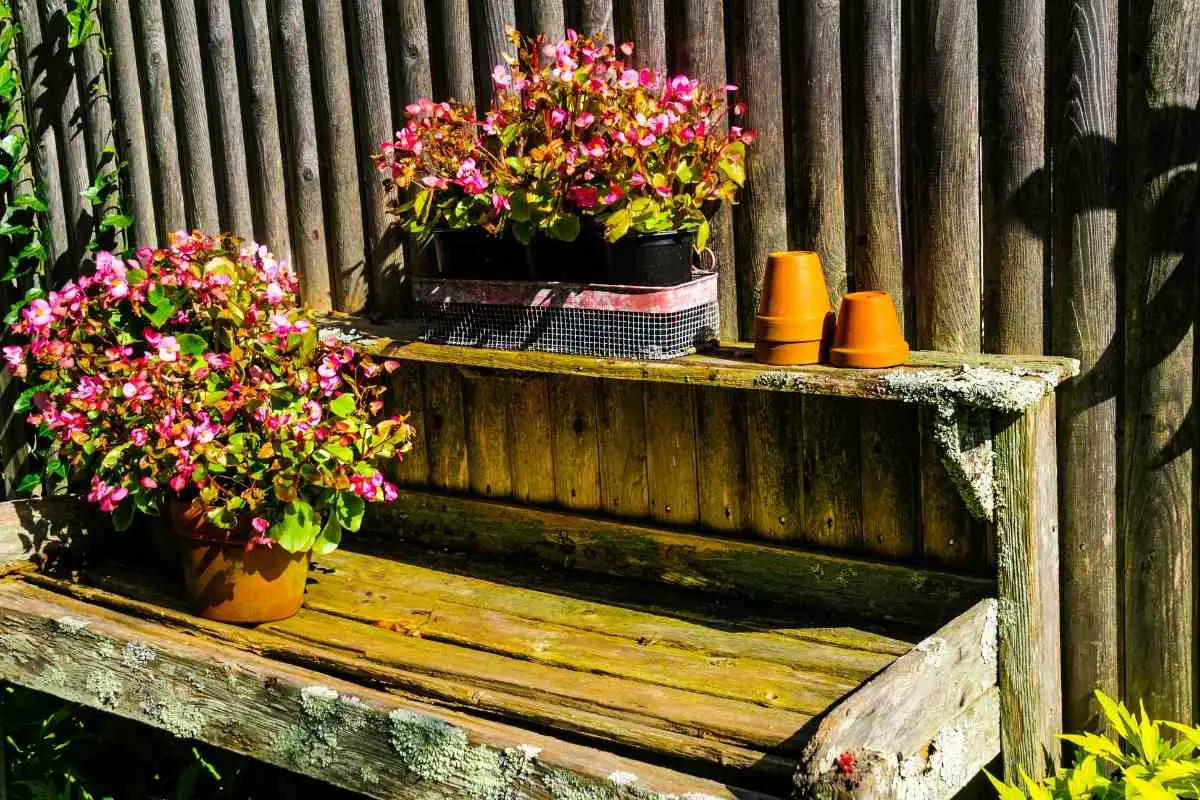 11 Best Wooden Potting Benches