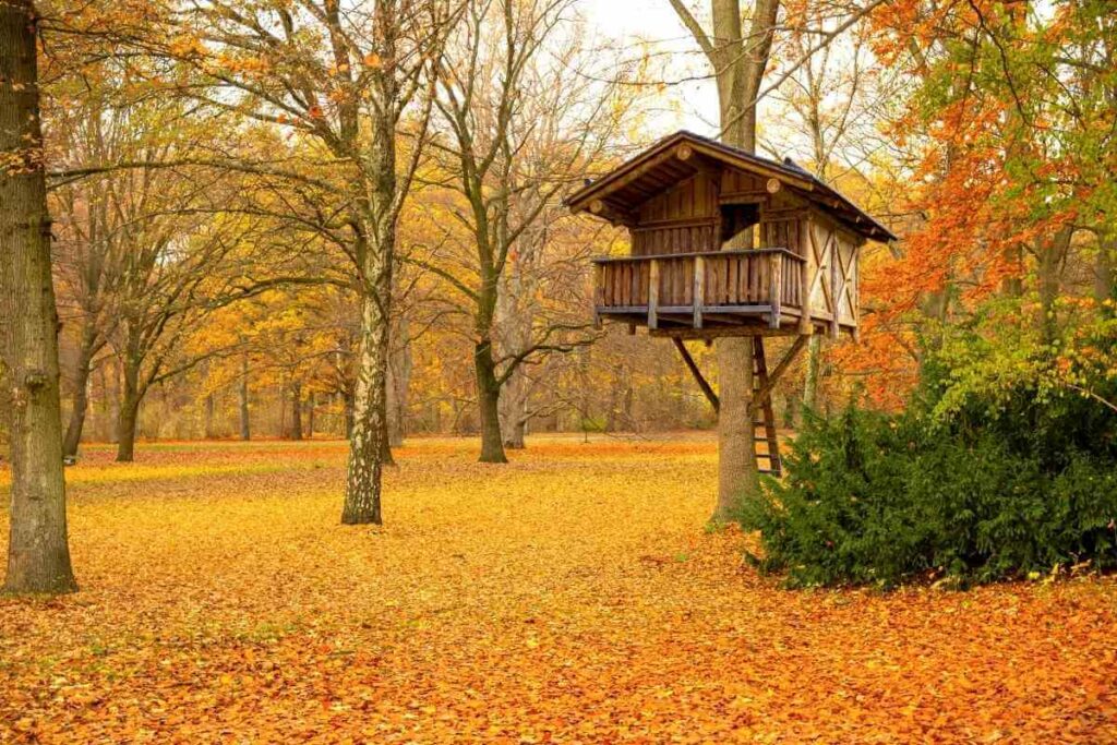 A Cozy Log Cabin Treehouse