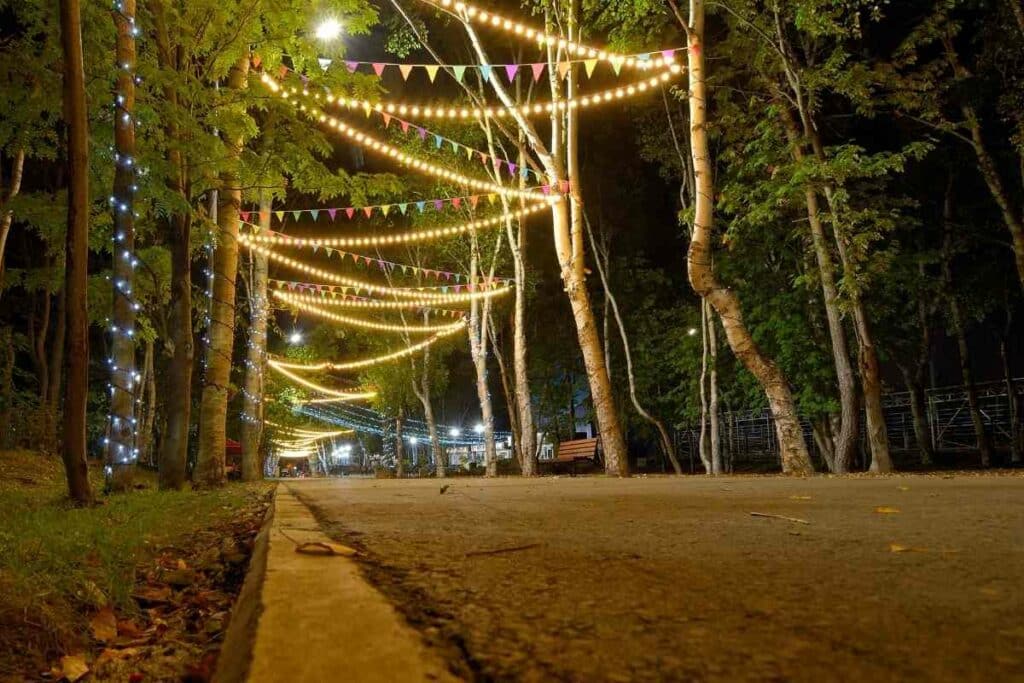 Criss-cross layout festoon lights park