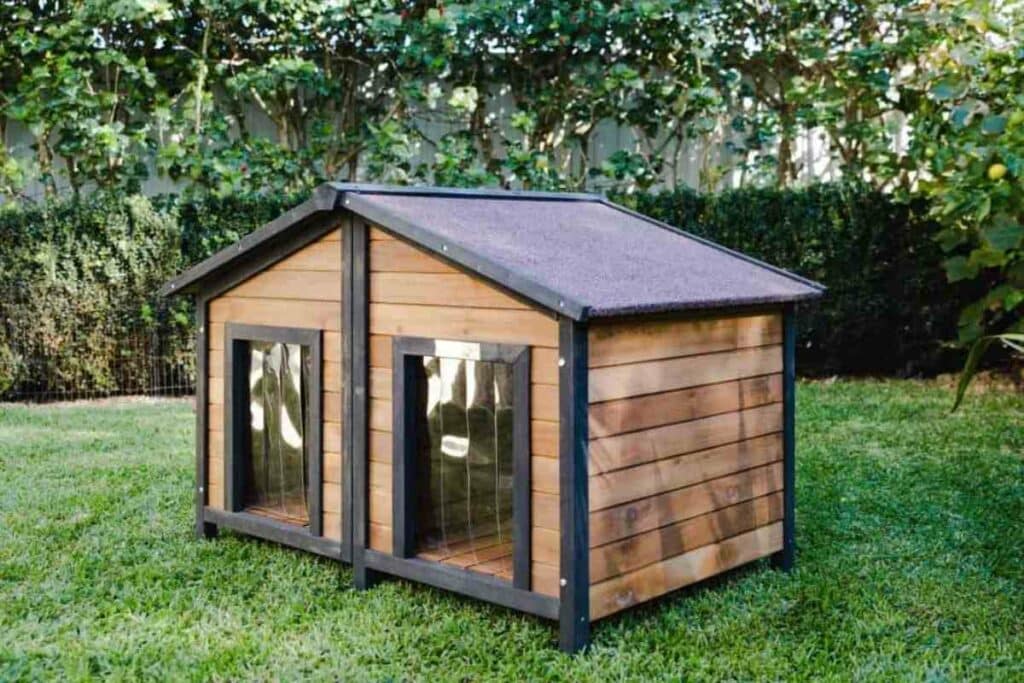 Big Duplex dog house