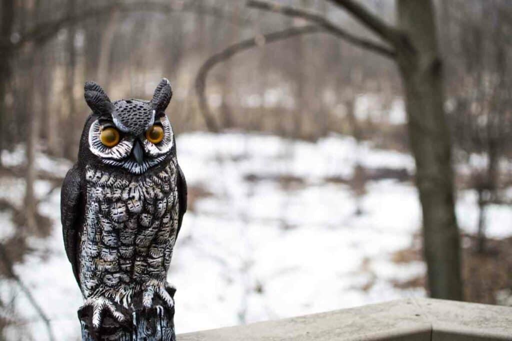 Fake competitor owl against seagulls