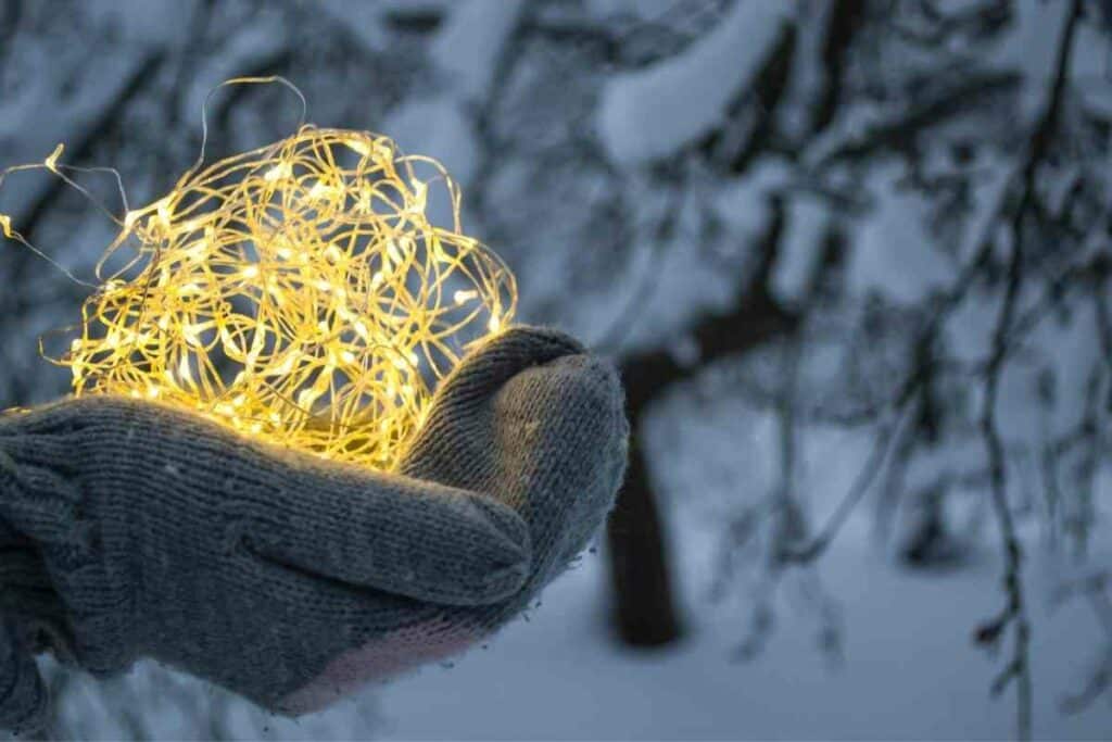 Festoon lights backyard winter