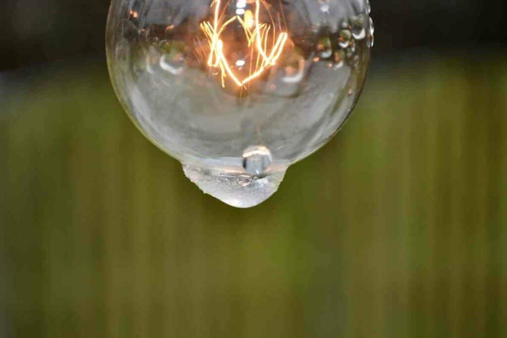 Festoon lightbulb