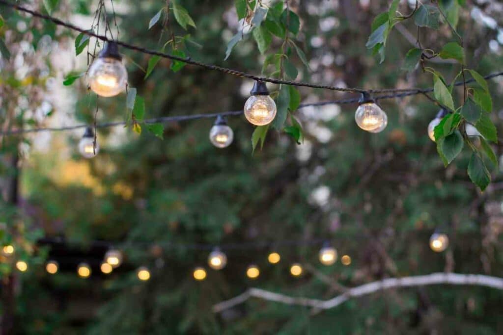 Festoon garden lights garden