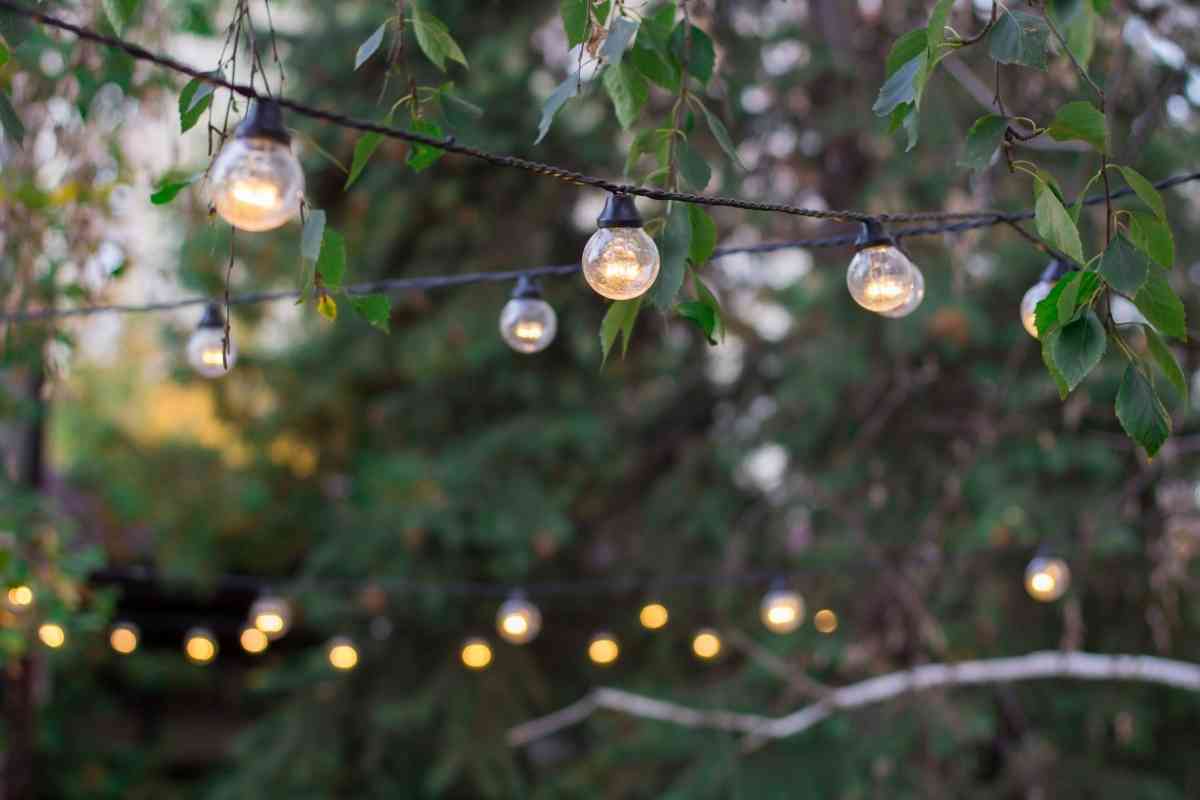 9 Unusual Festoon Lights for Your Garden Gardenia Organic