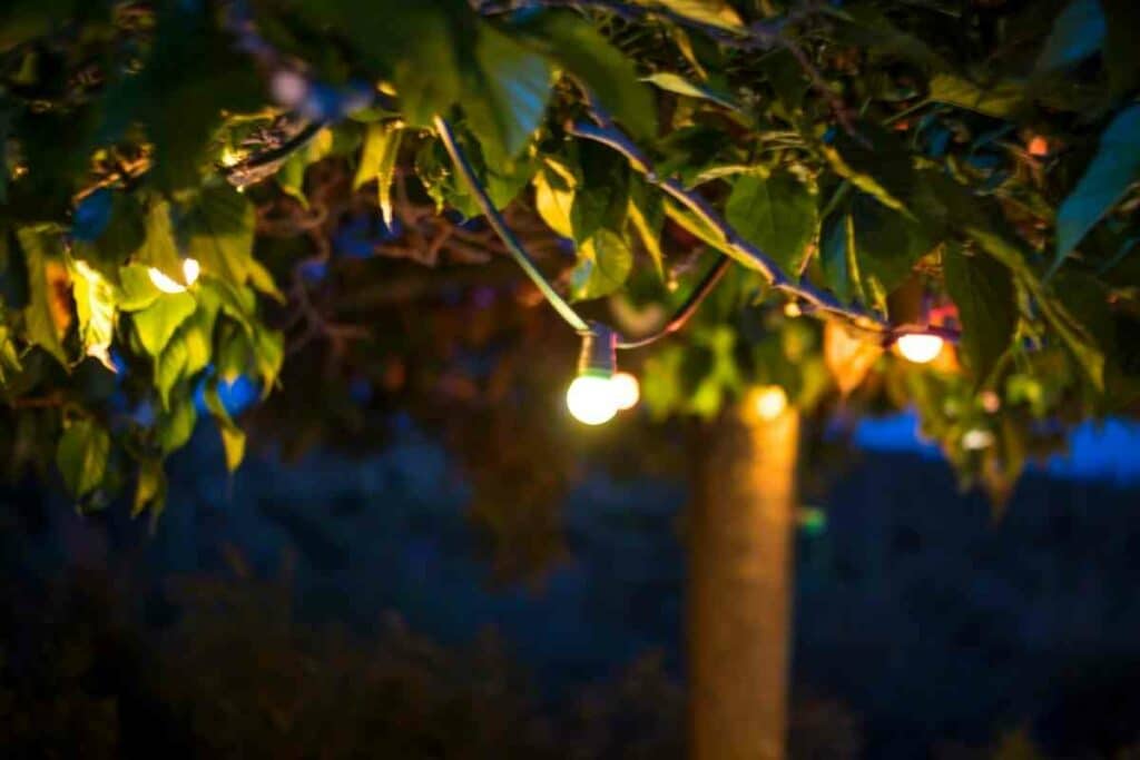 The types of Festoon lights