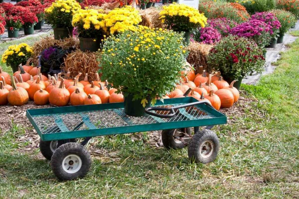 Best garden cart types