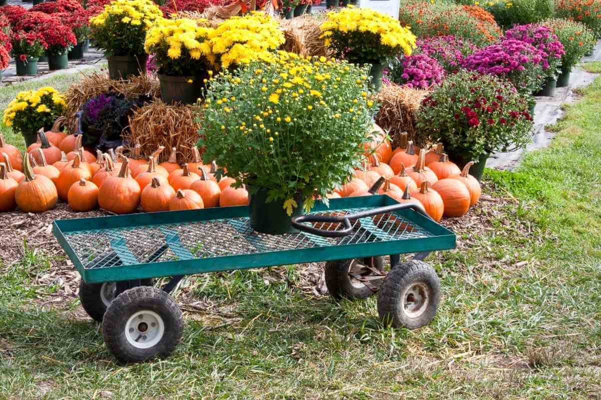 7 Best Garden Utility Carts Gardenia Organic   Garden Dump Cart 