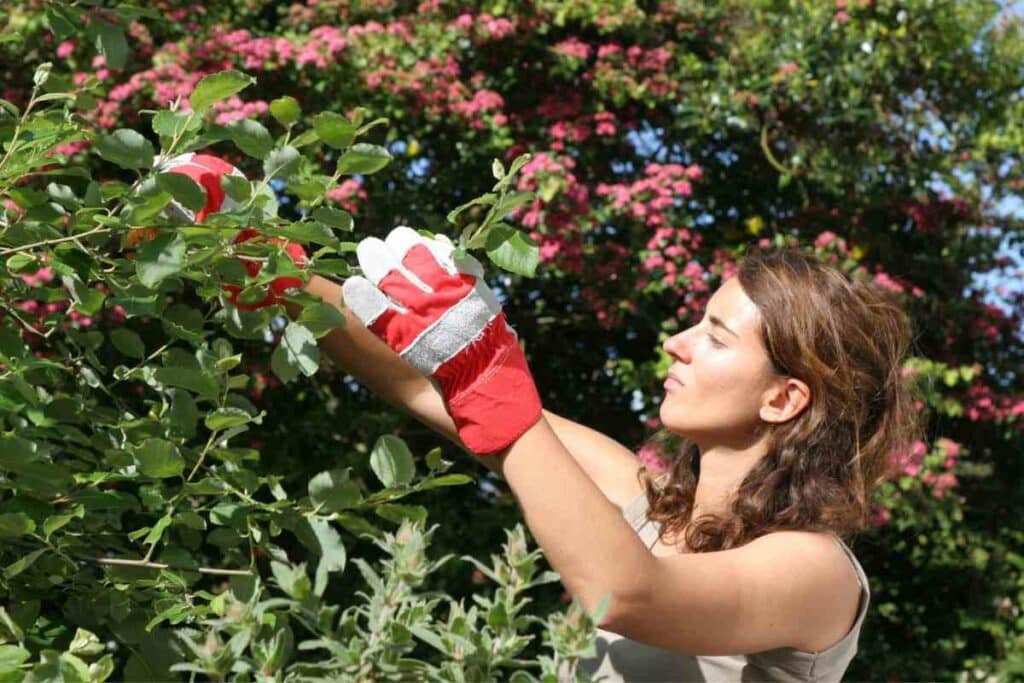 women's Garden gloves for thorns