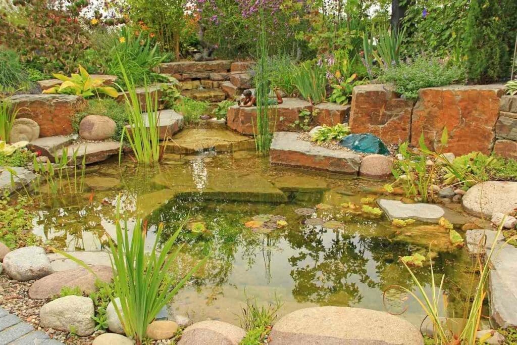 Garden pond slope design