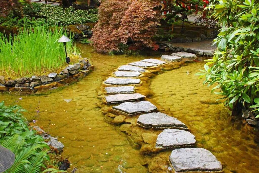 Garden pond design paths and tunnels