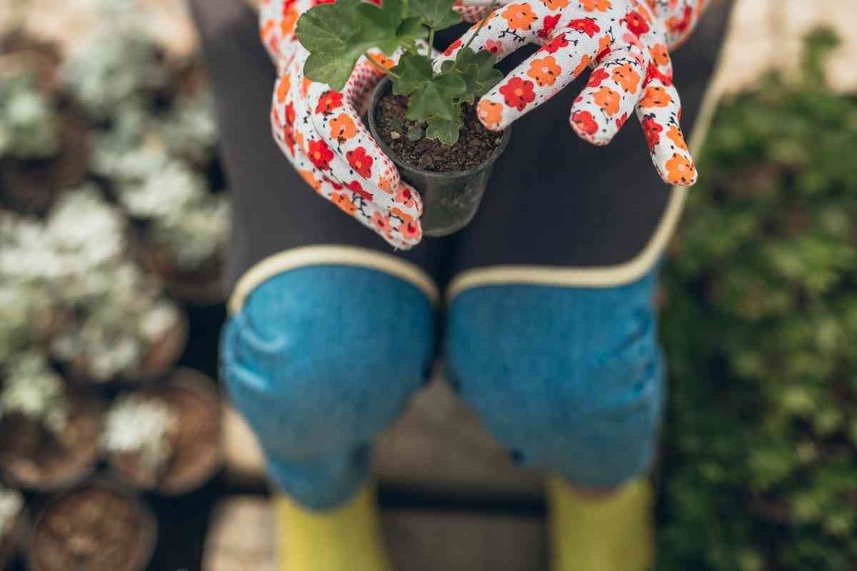 sloggers garden clogs canada