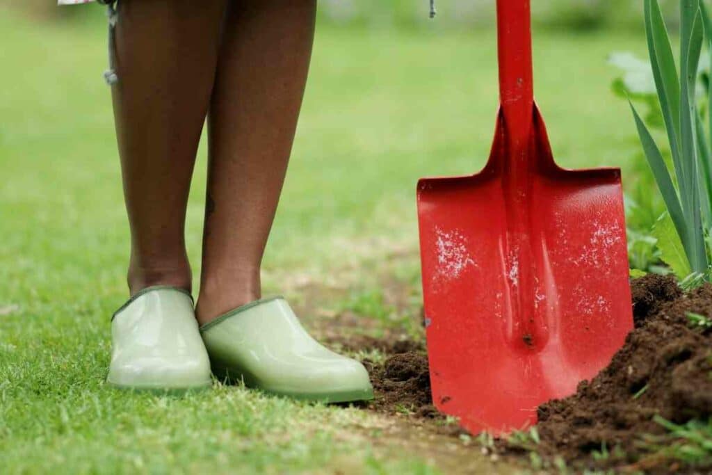 Woman in clogs in backyard