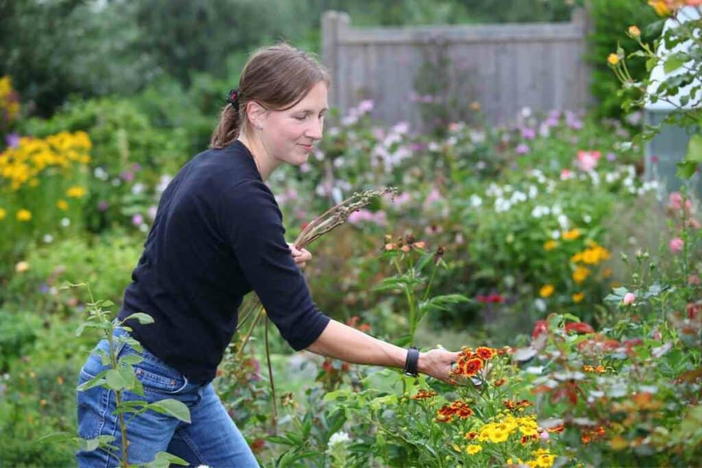 Best Gardening shoes clogs