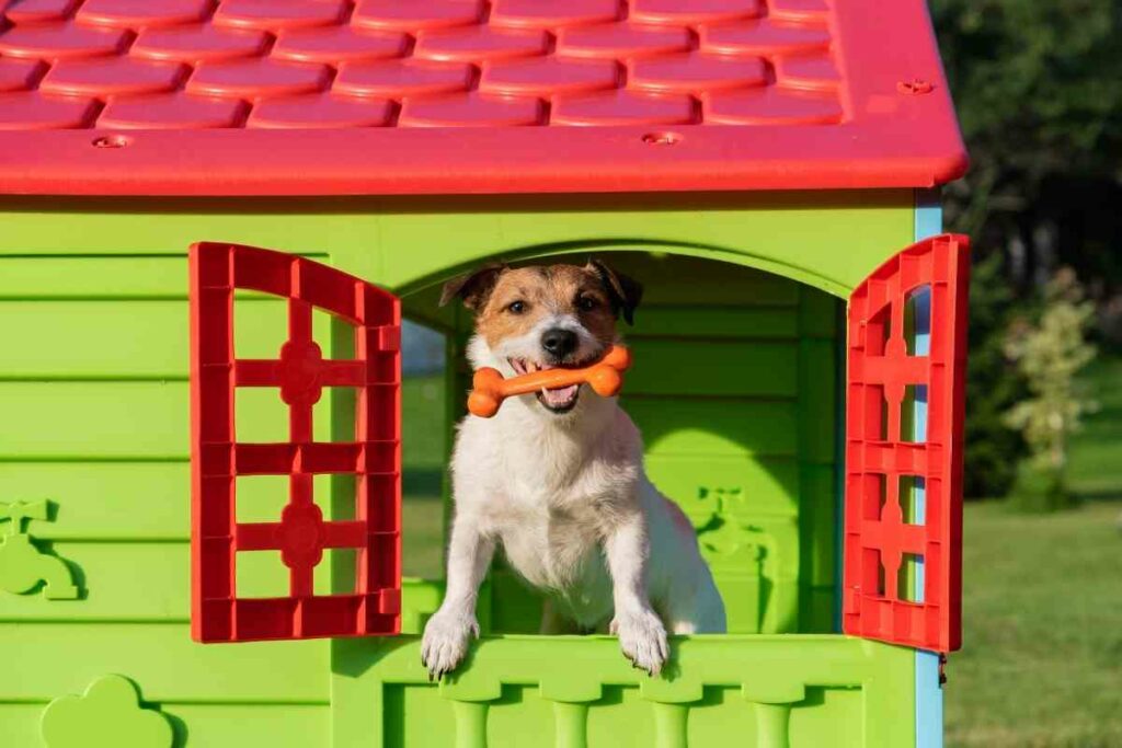 Happy dog in a plastic dog house