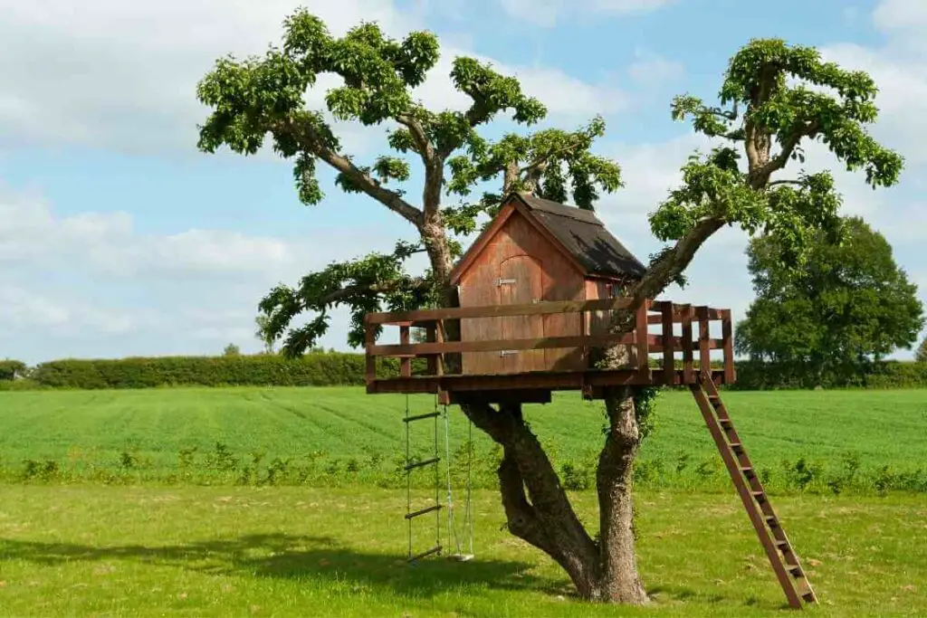 Hide Away Treehouse design