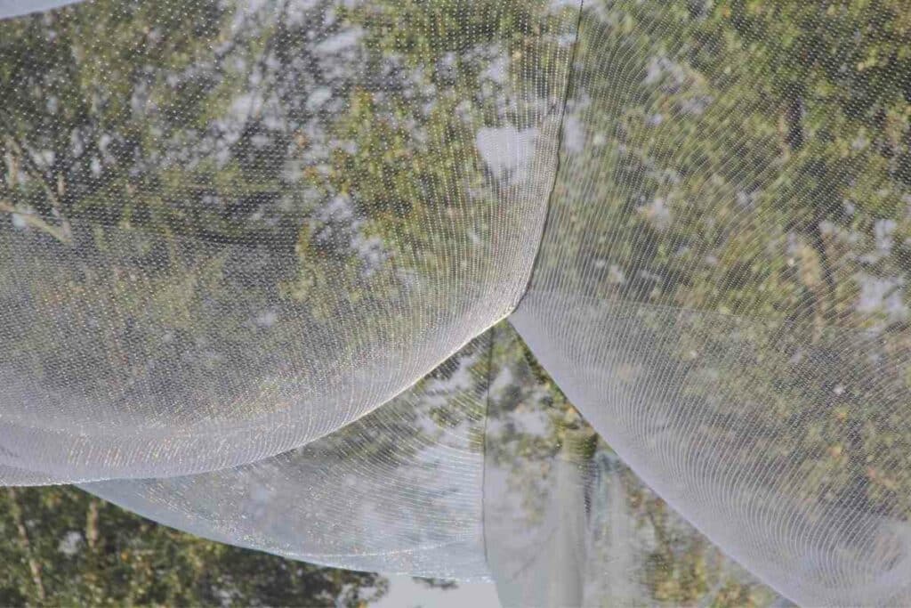 Use Fine-mesh Netting to Cover Fruit Trees