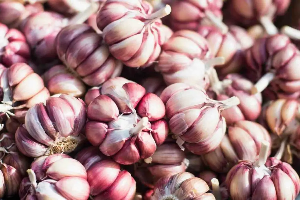 Organic garlic from store