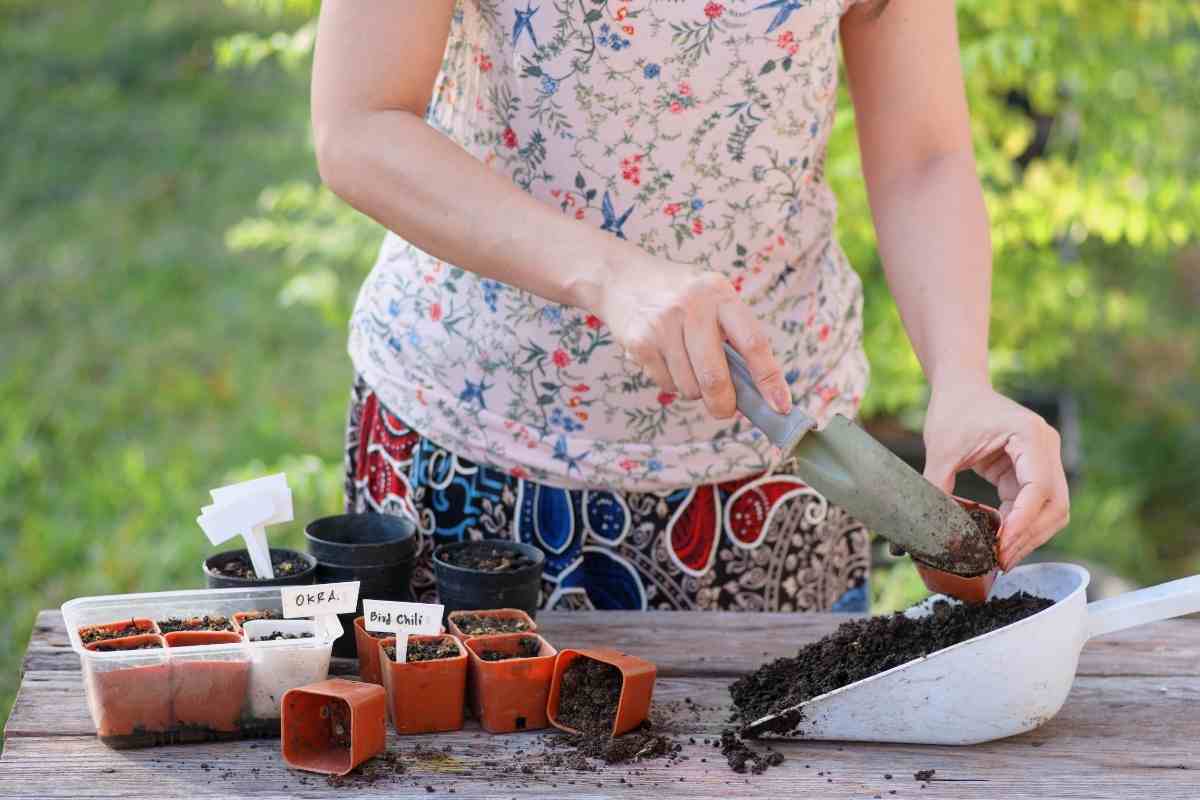 5 Best Organic Potting Soil For Herbs Gardenia Organic