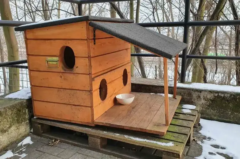 Dog house made of pallets