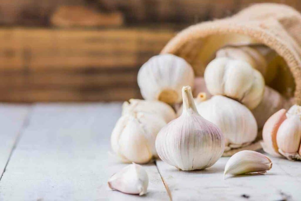 Planting organic garlic from store