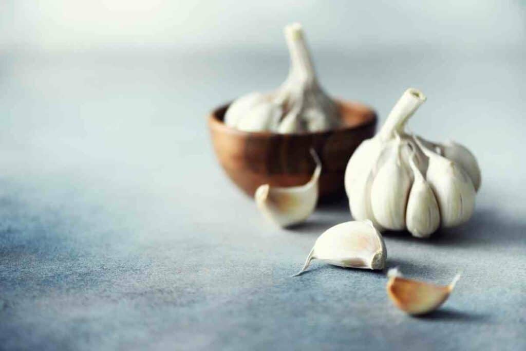 Planting organic garlic complete guide