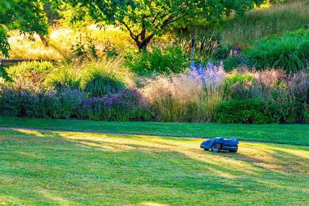 Robotic lawn mower cutting grass